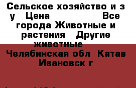 Сельское хозяйство и з/у › Цена ­ 2 500 000 - Все города Животные и растения » Другие животные   . Челябинская обл.,Катав-Ивановск г.